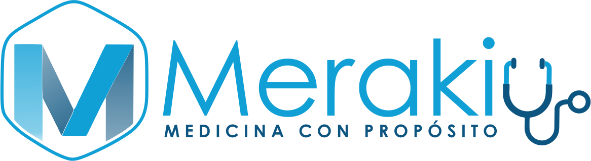 Logo Meraki